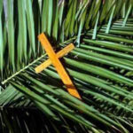 advent palm